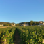 Santenay "Clos de Malte" AOC Pinot Noir 2023 0.75 l