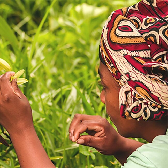 Dzama Cuvee Noire Madagascar Rum 0.7 l 40%vol