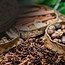 Dzama Cuvee Noire Madagascar Rum 0.7 l 40%vol