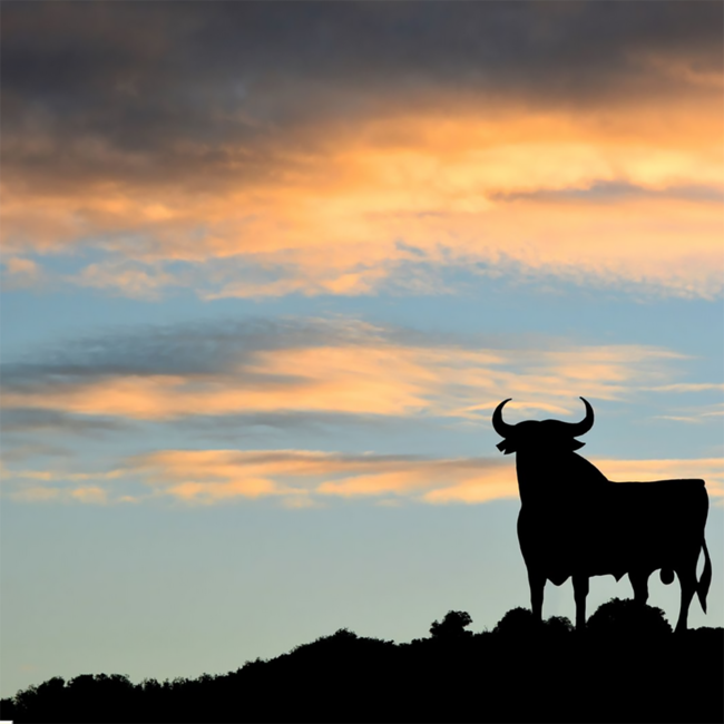 Osborne Magno Solera Reserva Brandy de Jerez 1.00 l 36% vol