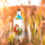 Olio Extra Vergine Il Gallo - Olivenöl (500 ml)