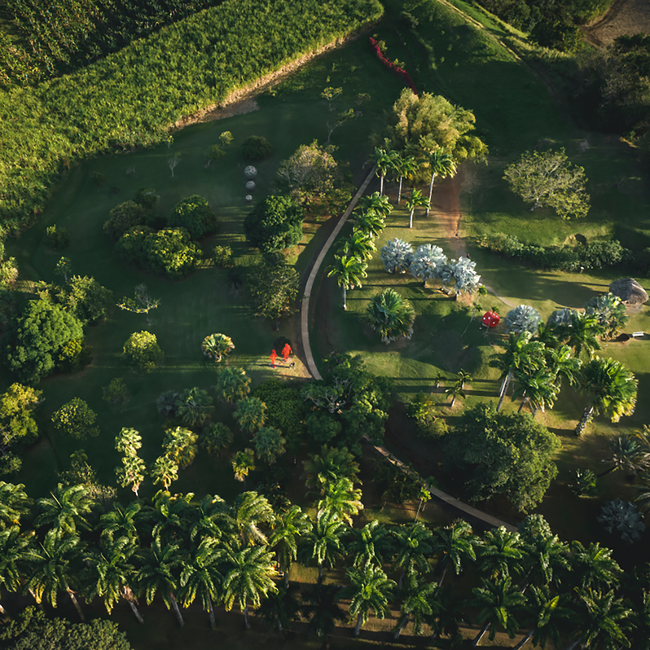 Clement Creme au Rhum Vieux Likör 0.7 l 17% vol