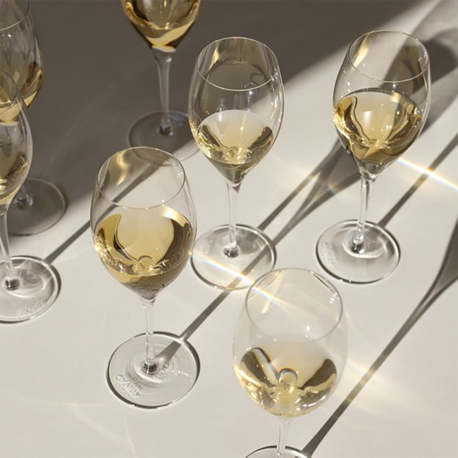 Mailly Blanc de Pinot Noir Champagner 0.75 l 12% vol