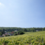 Mailly Blanc de Pinot Noir Champagner 0.75 l 12% vol