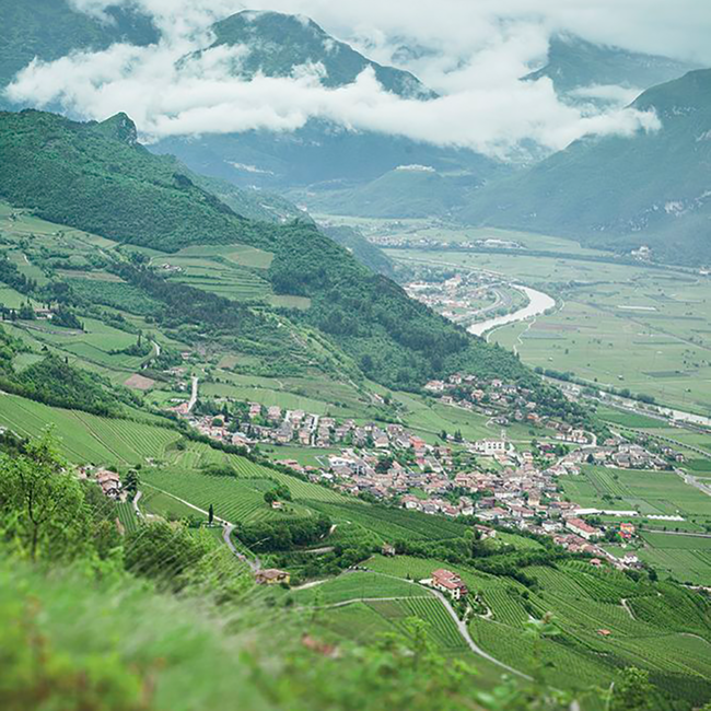 Marzadro Crema Alpina Limone Likör 0.7 l 17% vol