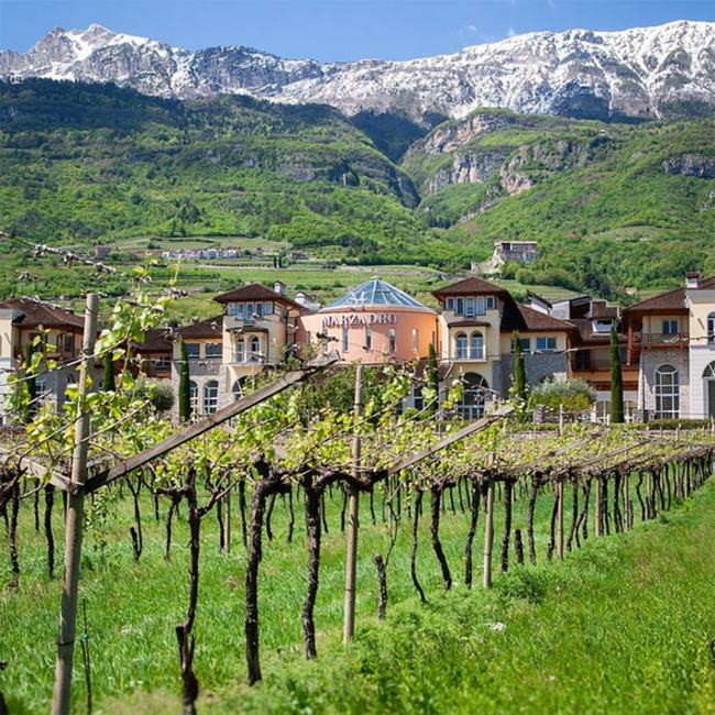 Marzadro Crema Alpina Nocciola  Likör 0.7 l 17% vol