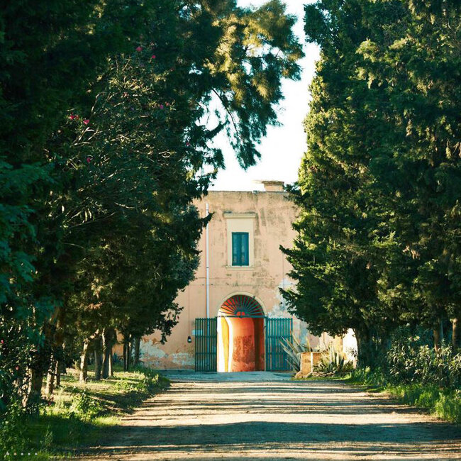 Torcicoda Primitivo Salento IGT 2023 0.75 l