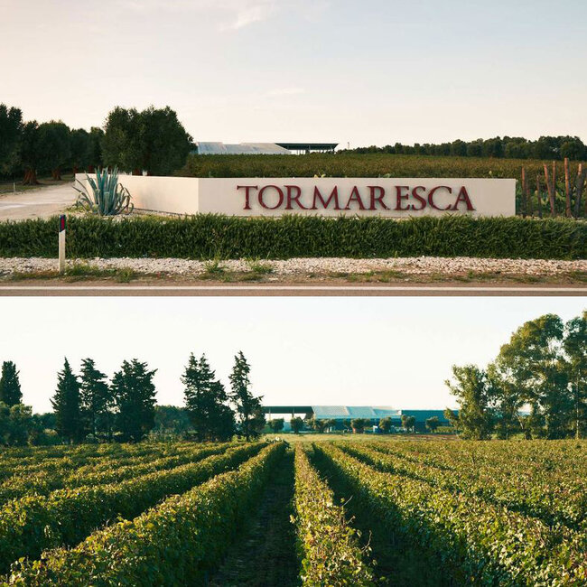 Torcicoda Primitivo Salento IGT 2023 0.75 l