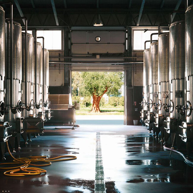 Torcicoda Primitivo Salento IGT 2023 0.75 l