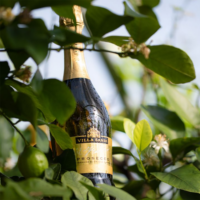 Il Fresco Prosecco Spumante DOC 0.75 l 12% vol