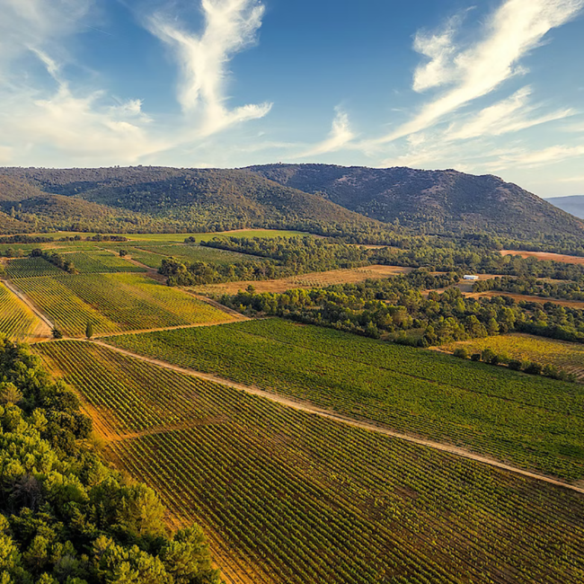AIX Coteaux d´Aix en Provence Rose AOP 2024 Jeroboam 3.00 l