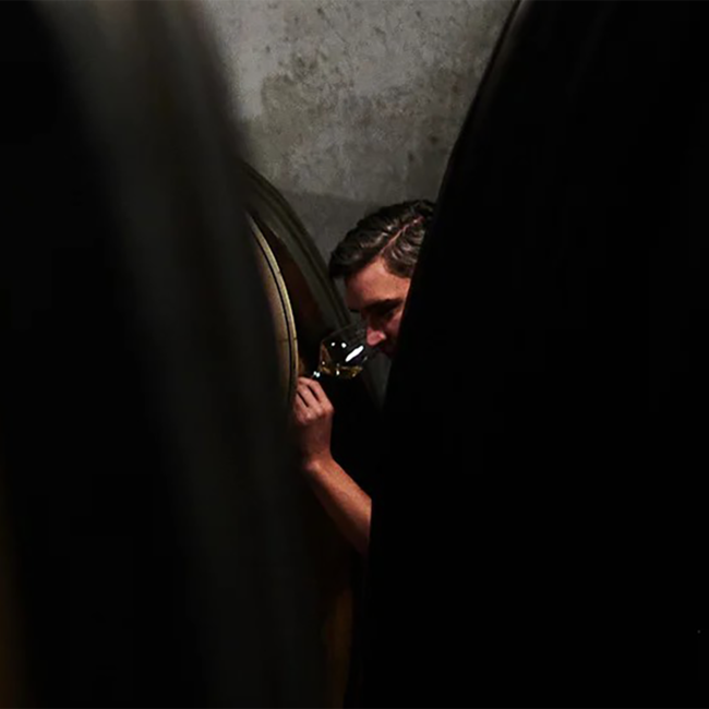 Grauer Burgunder Südsteiermark DAC 2021 0.75 l