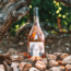Rock Angel Cotes de Provence Rose 2024 0.75 l