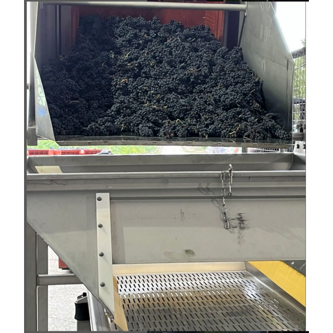 Chateau Siran AMC Federica Matta Edition 2020 0.75 l