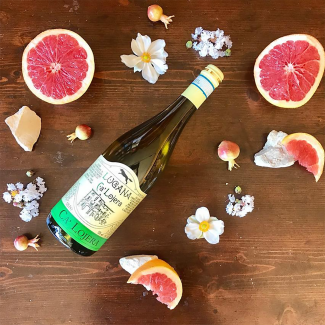 Ca' Lojera Lugana DOC 2024 0.75 l