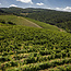Tignanello Toscana IGT 2016 0.75 l