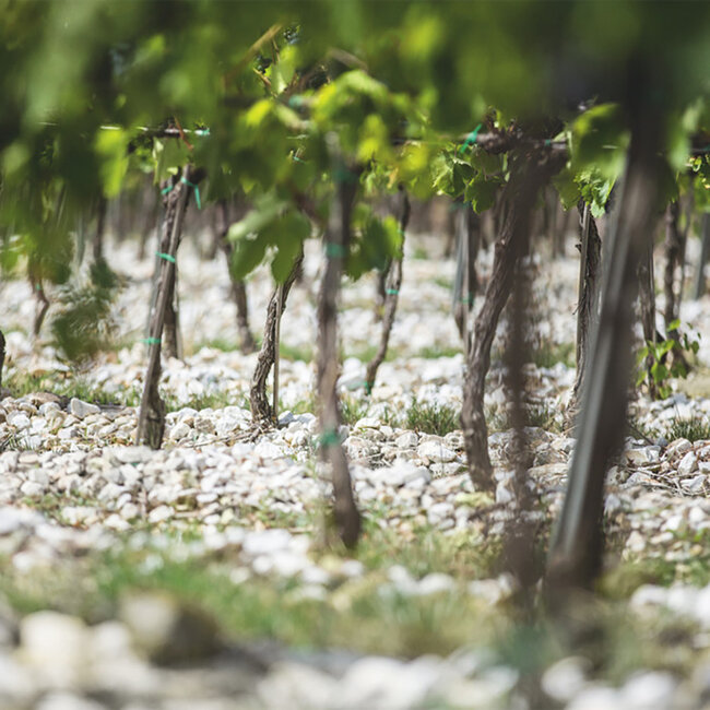 Tignanello Toscana IGT 2016 0.75 l