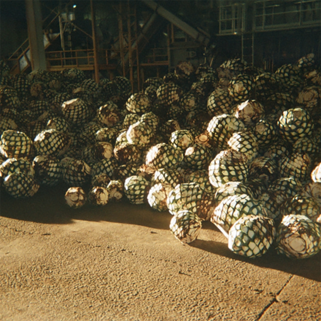 818 Tequila Reposado by Kendall Jenner 0.7 l 40% vol