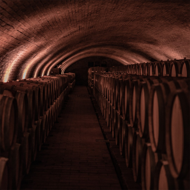 Barbera d'Alba DOC 2023 0.75 l