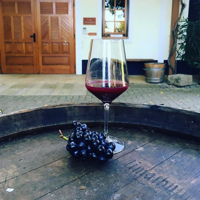 Umathum Zweigelt Ried Hallebühl 2019 0.75 l