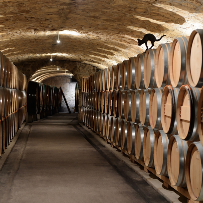 Chardonnay Katterstein 2022 0.75 l