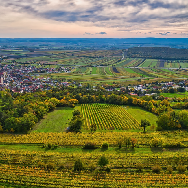 Blaufränkisch Ried Point 2021 0.75 l