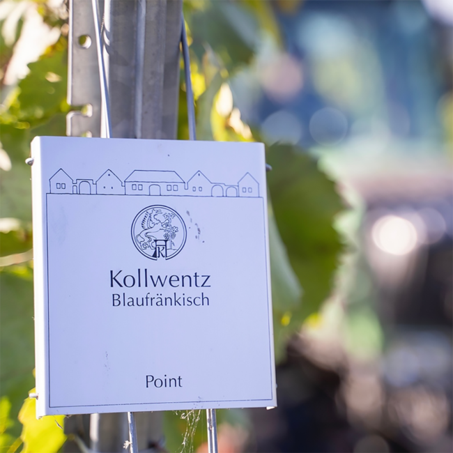 Blaufränkisch Ried Point 2021 0.75 l