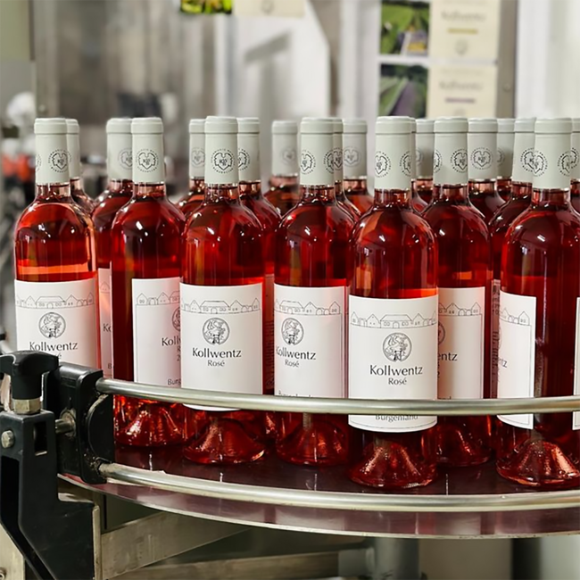 Rose vom Zweigelt 2024 0.75 l