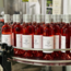 Rose vom Zweigelt 2025 0.75 l