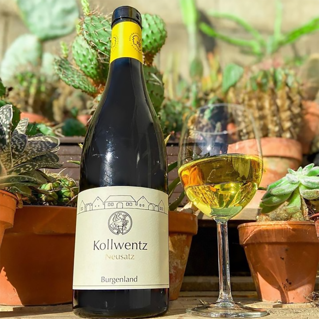 Chardonnay Ried Neusatz 2022 0.75 l