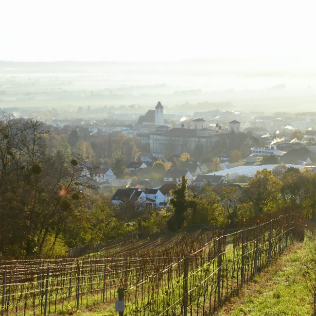 Chardonnay Ried Neusatz 2022 0.75 l