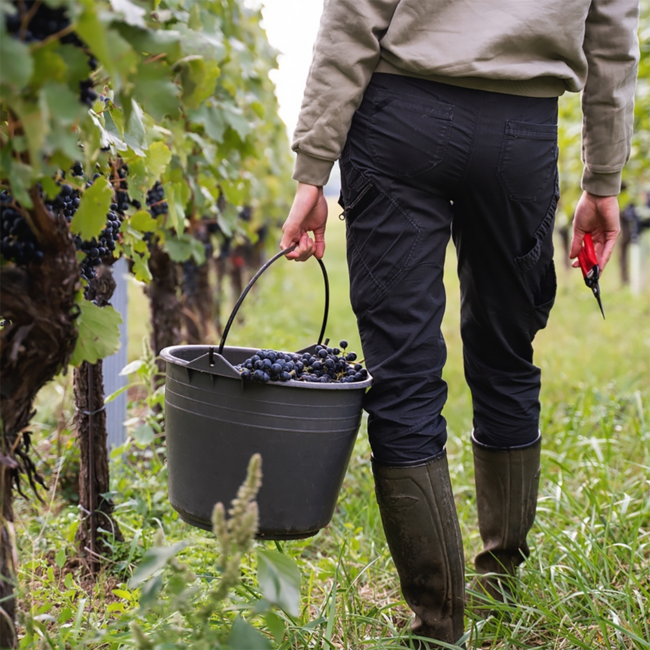 Zweigelt Leithakalk 2023 0.75 l