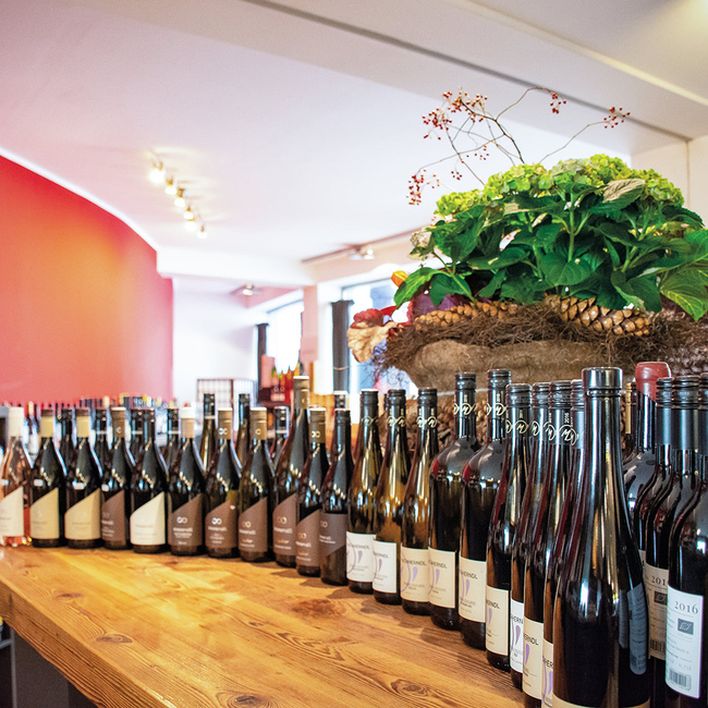 Riesling Wagramschotter 2023 0.75 l