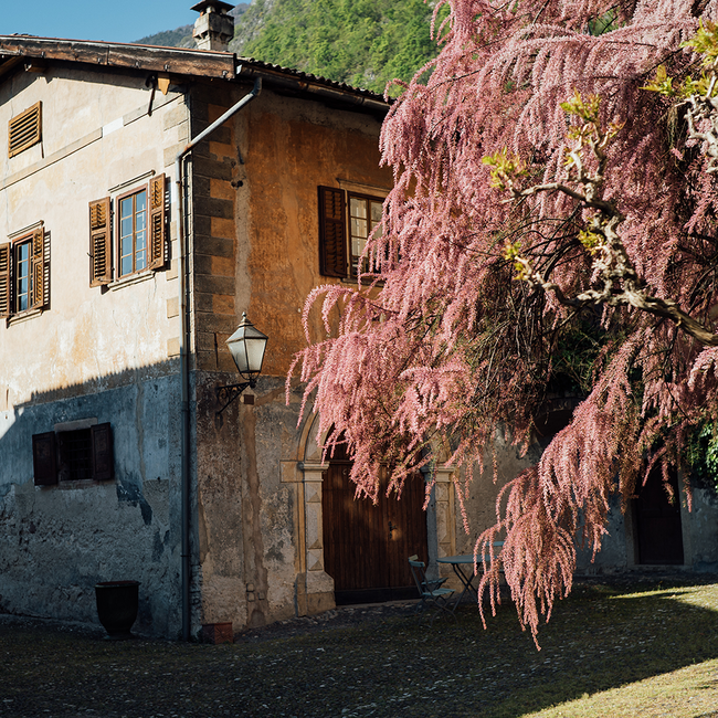 Fragment Sauvignon Blanc delle Dolomiti IGT 2023 0.75 l