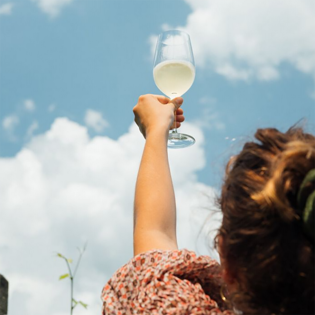 Fragment Sauvignon Blanc delle Dolomiti IGT 2023 0.75 l