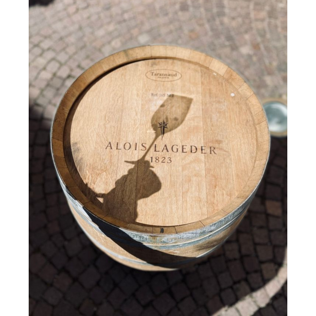 Fragment Sauvignon Blanc delle Dolomiti IGT 2023 0.75 l