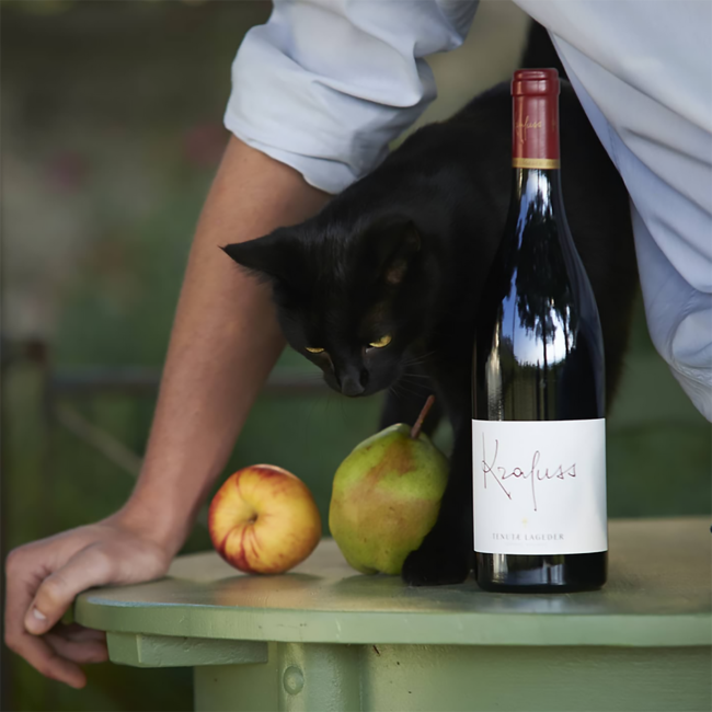 Krafuss Pinot Noir Vigneti delle Dolomiti IGT 2022 0.75 l