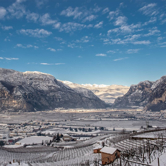 Bertagnolli Gran Grappino Winter Edition in GB 0.7 l 42% vol