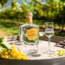 Bertagnolli Grappa Moscato Giallo Trentino (Bianca) in GB 0.7 l 42% vol