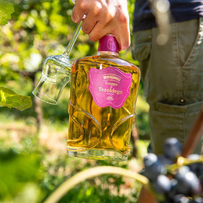 Bertagnolli Grappa Teroldego Trentino Riserva 18 Monate in GB 0.7 l 42% vol