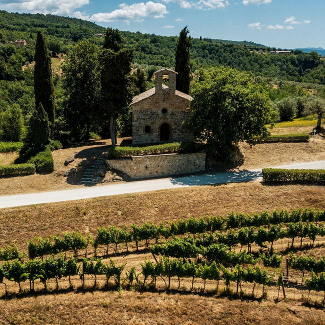 Conte della Vipera Umbria IGT 2024 0.75 l