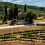 Conte della Vipera Umbria IGT 2024 0.75 l