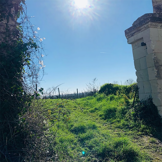 Cremant de Loire Blanc 0.75 l 13.50% vol