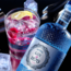 Bertagnolli Gin 1870 Raspberry Dry Gin 0.7 l 40% vol