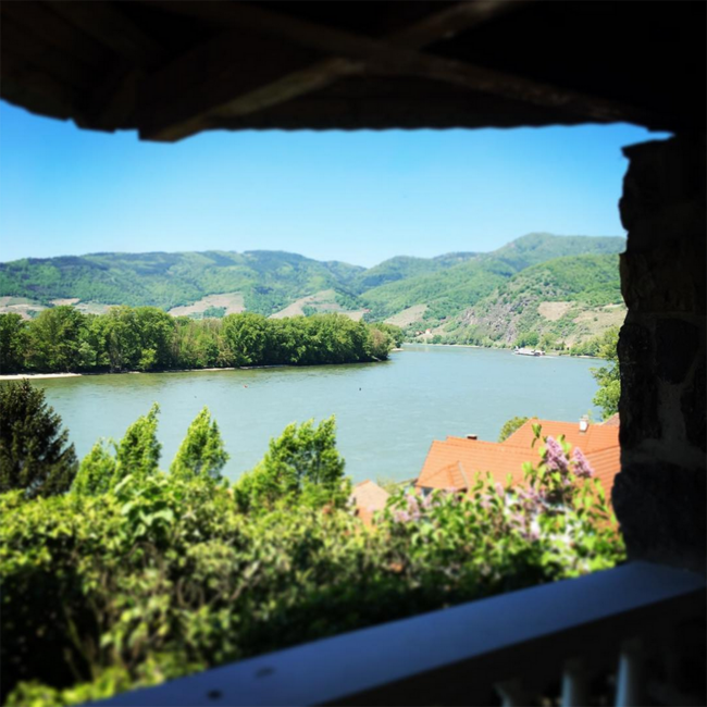 Riesling Smaragd Loibenberg Wachau DAC 2024 0.75 l