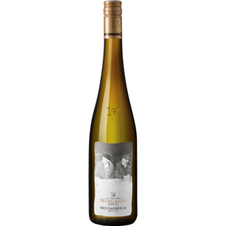 Weixelbaum / Kamptal, Strass Riesling Ried Gaisberg 1ÖTW Kamptal DAC Reserve 2022 0.75 l