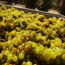 Sauvignon Blanc Gamlitz Südsteiermark DAC 2022 0.75 l
