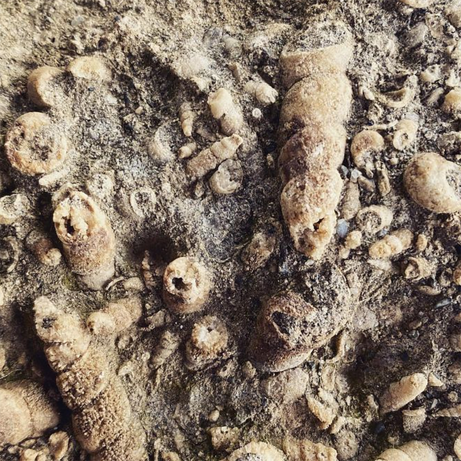 Sauvignon Blanc Ried Kranachberg GSTK 2021 0.75 l