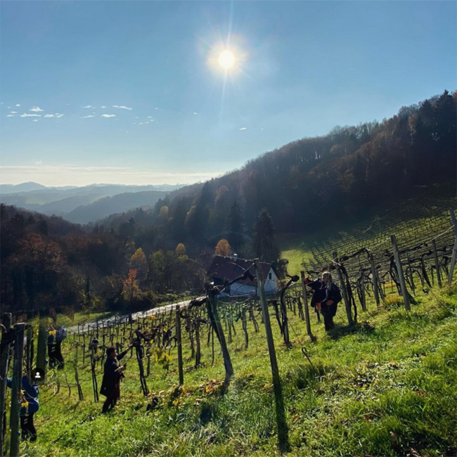 Sauvignon Blanc Ried Kranachberg GSTK 2021 0.75 l