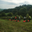 Weißburgunder Südsteiermark DAC 2024 0.75 l